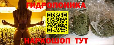 каннабис Камышлов