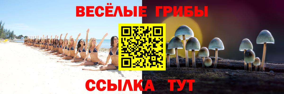 Псилоцибиновые грибы MAGIC MUSHROOMS  Вход с VPN  Киржач 